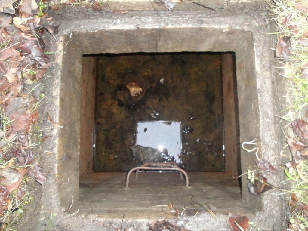 DSC05734