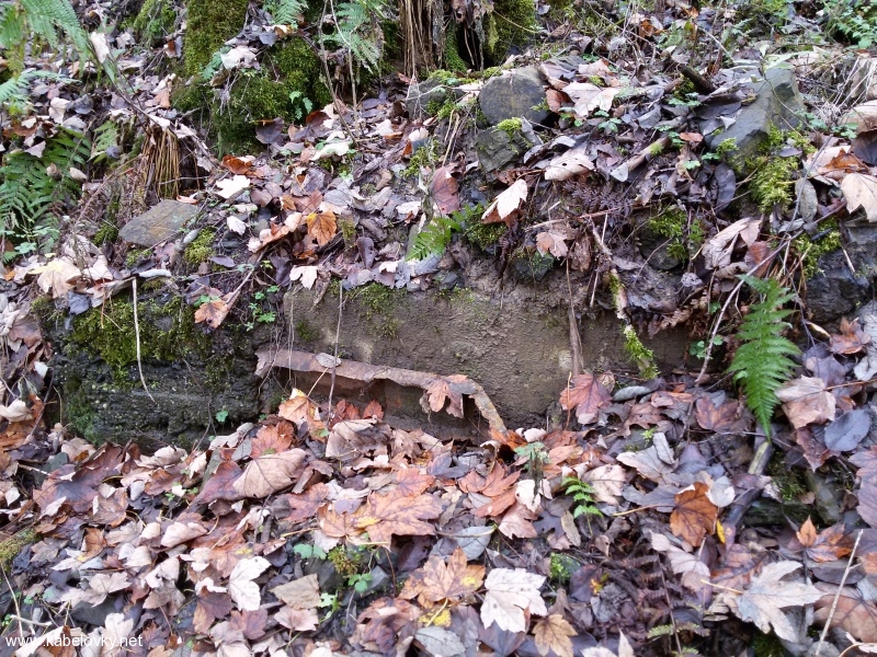 20141124 131549