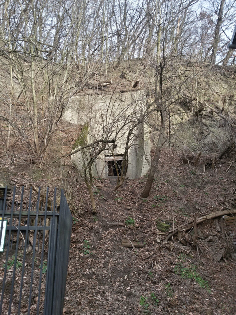 20150117 101730 RichtoneHDR