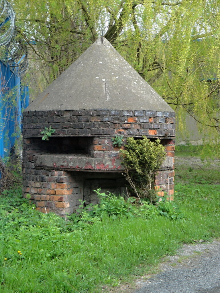 DSC07598