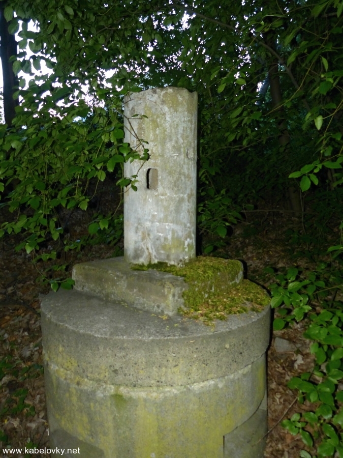 P1100882