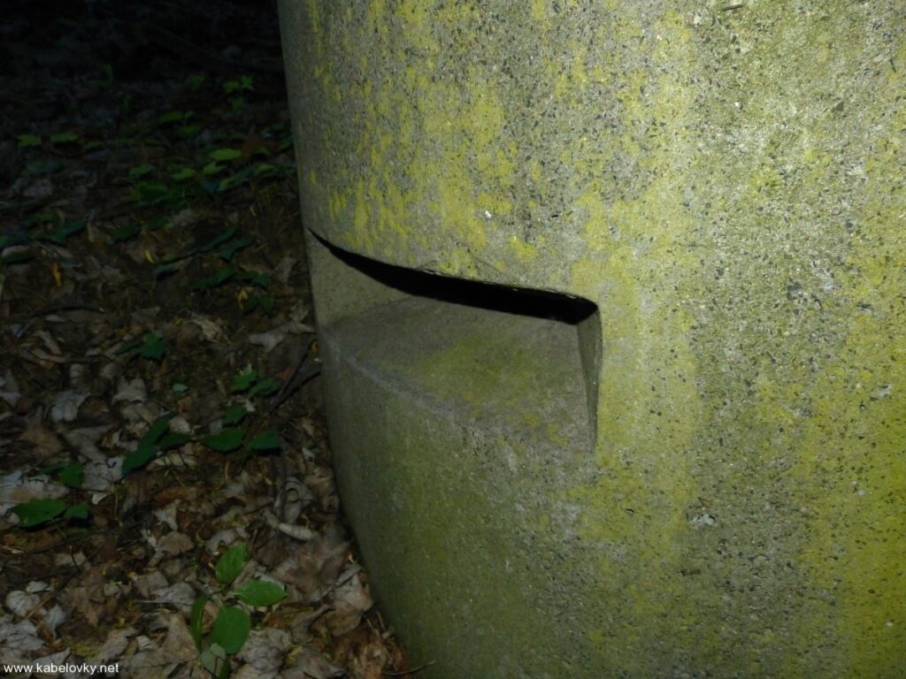 P1100883