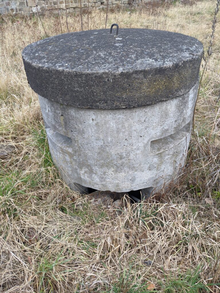 IMG 20200304 153506