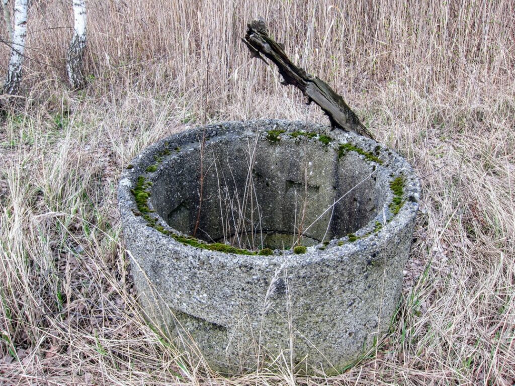 IMG 0053