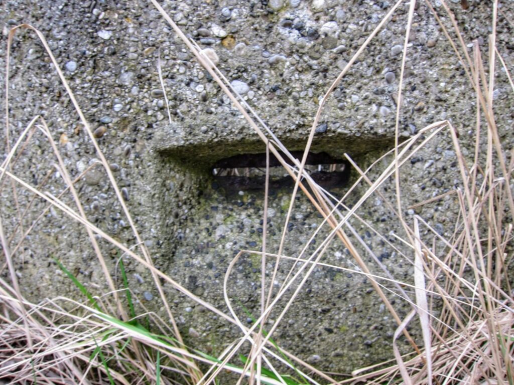 IMG 0054
