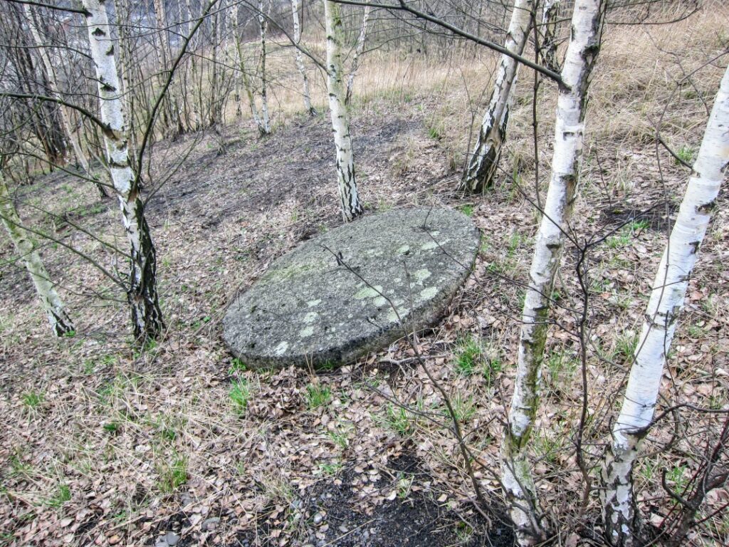 IMG 0055