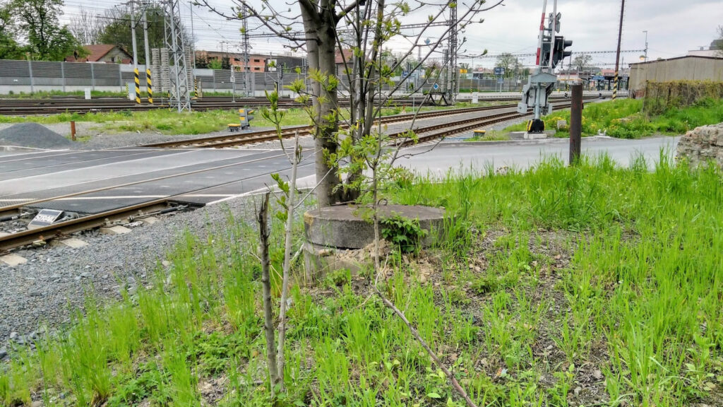 IMG 20170508 175833