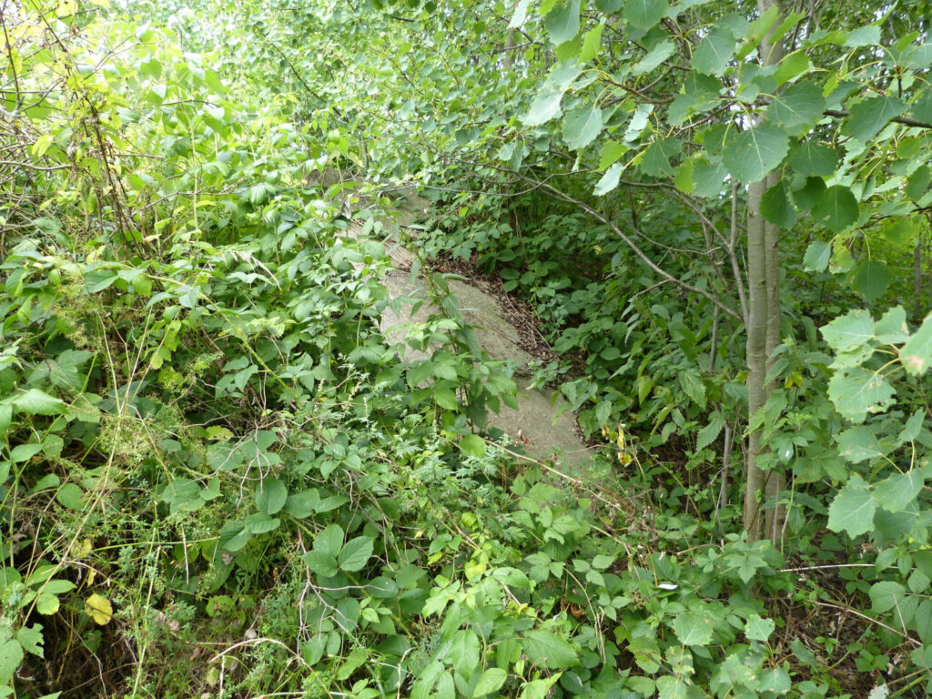 P1160968