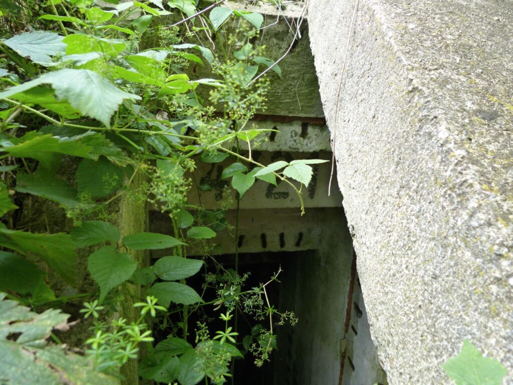 P1160970