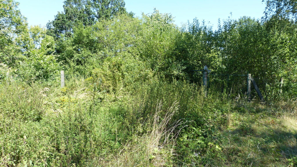 P1160983