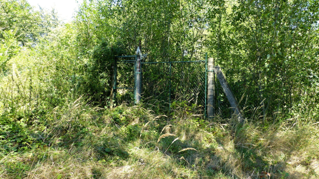 P1160984
