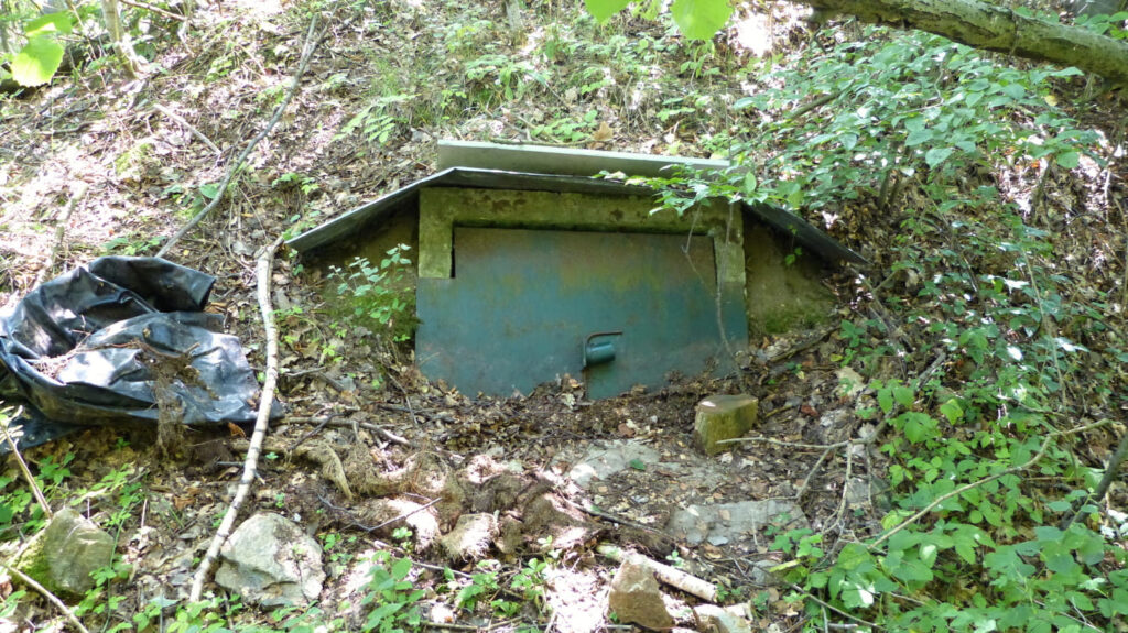 P1160991